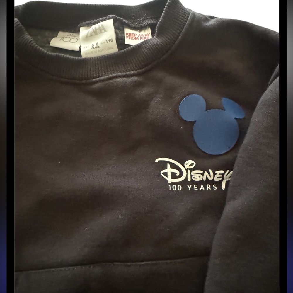 Disney 100 Zara